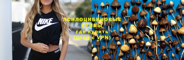 МДПВ Володарск